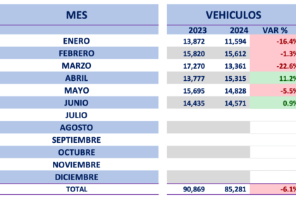 ventas-de-autos-nuevos-junio-2024